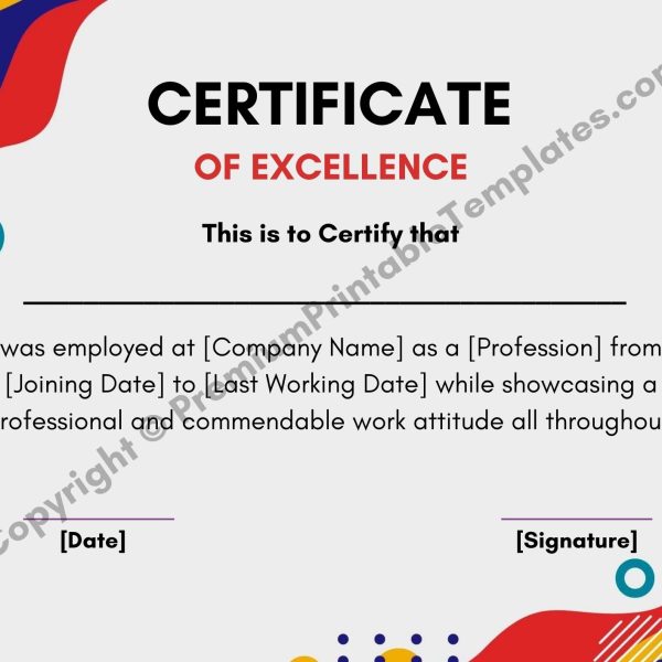 Certificate of Excellence PDF