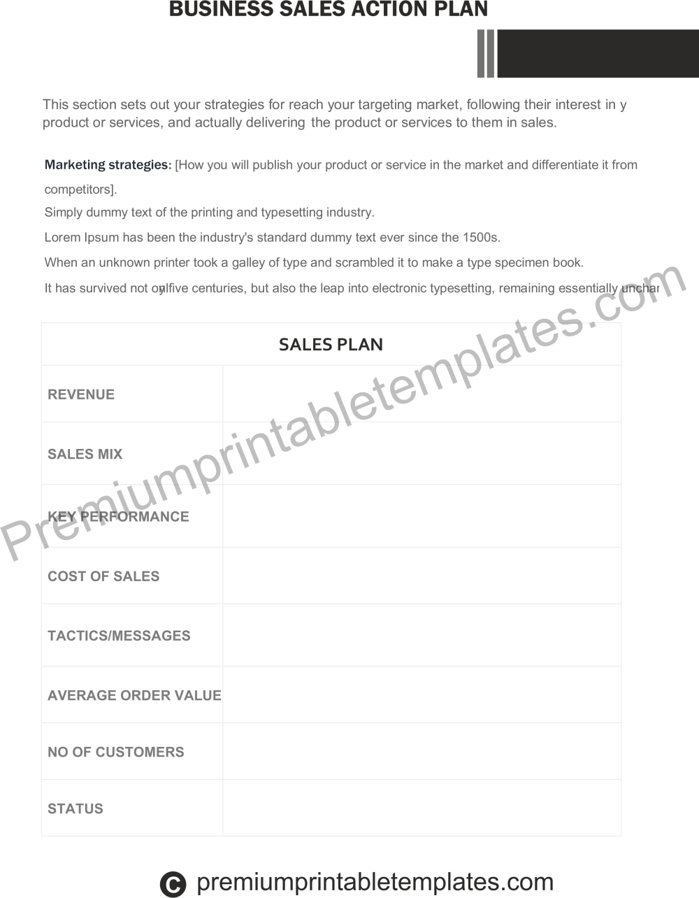 Business Sales Action Plan
