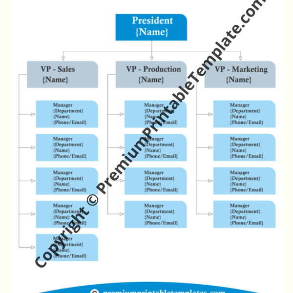 Company Organizational Chart