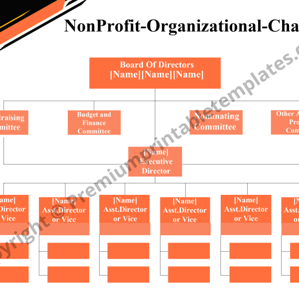 Non Profit Organizational Chart PDF