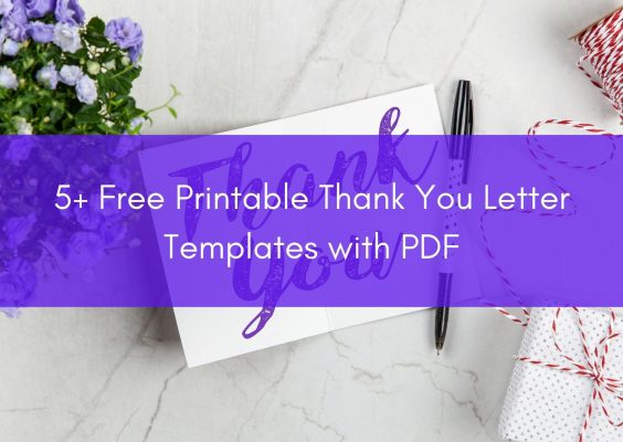 5+ Free Printable Thank You Letter Templates with PDF - Premium ...