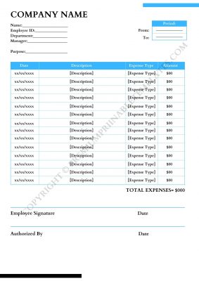 Expense Sheet & Report in PDF and Word [Pack of 3]