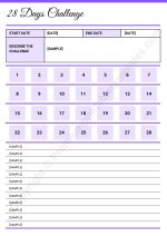28 Day Challenge Template planner