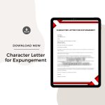Sample Character Letter for Expungement